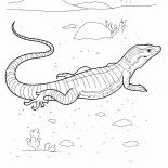 狩りにVARAN