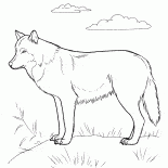 狩りにプレデター