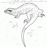 狩りにトカゲ