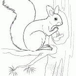 リスナットを保持します