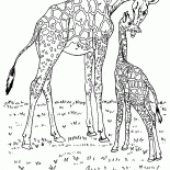 アフリカのキリン