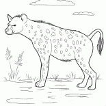 狩りにハイエナ
