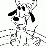 犬プルート
