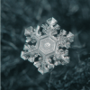 雪の結晶